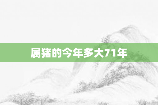 属猪的今年多大71年