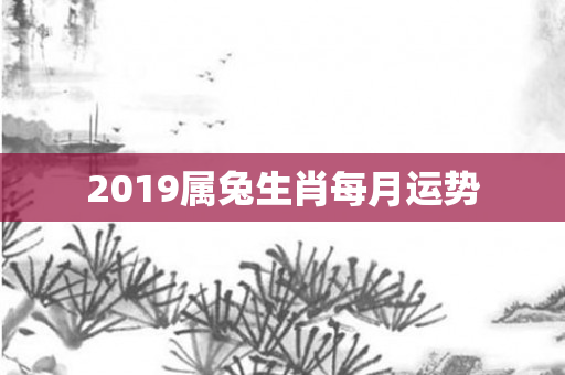 2019属兔生肖每月运势
