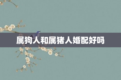 属狗人和属猪人婚配好吗