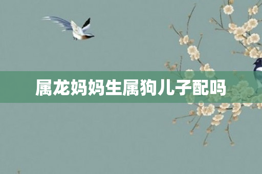 属龙妈妈生属狗儿子配吗
