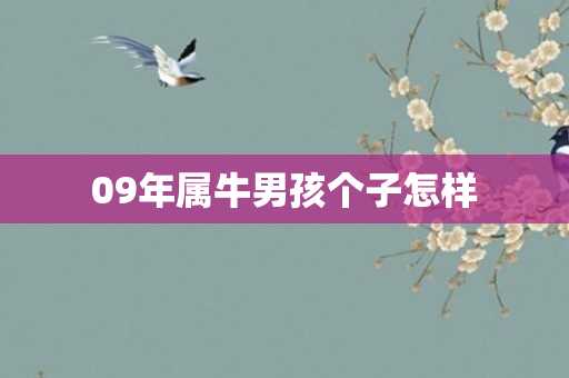 09年属牛男孩个子怎样