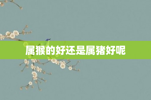 属猴的好还是属猪好呢