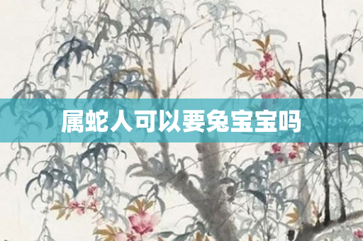属蛇人可以要兔宝宝吗