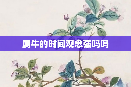 属牛的时间观念强吗吗