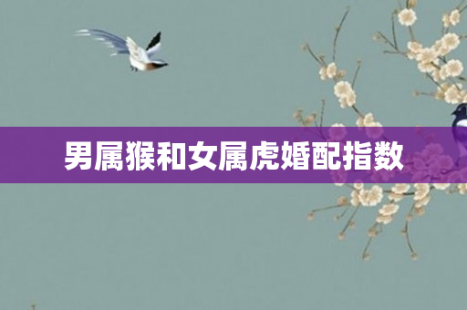 男属猴和女属虎婚配指数
