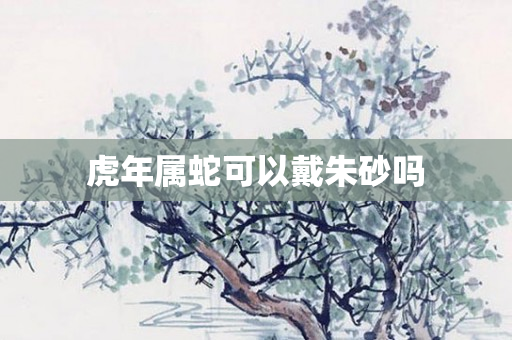虎年属蛇可以戴朱砂吗