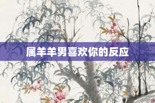 属羊羊男喜欢你的反应