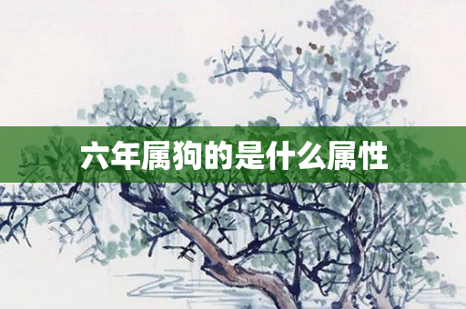 六年属狗的是什么属性