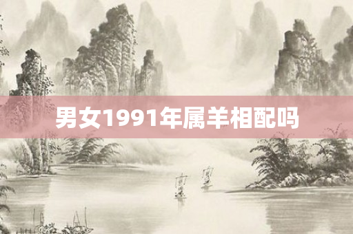 男女1991年属羊相配吗