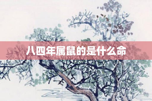八四年属鼠的是什么命