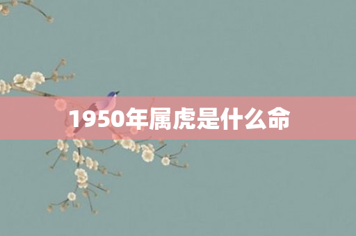 1950年属虎是什么命