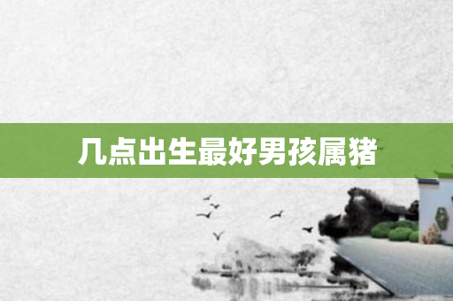 几点出生更好男孩属猪