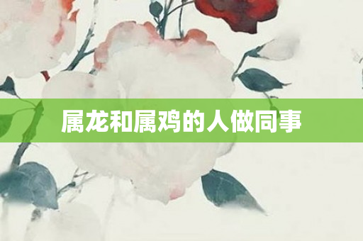 属龙和属鸡的人做同事