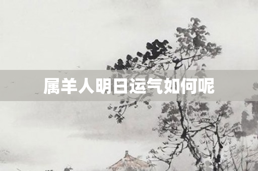 属羊人明日运气如何呢