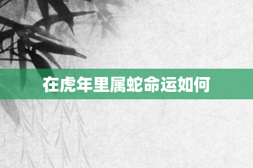 在虎年里属蛇命运如何