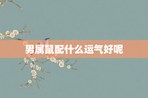 男属鼠配什么运气好呢