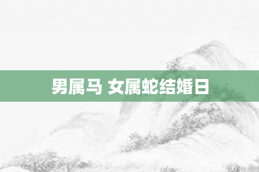 男属马 女属蛇结婚日