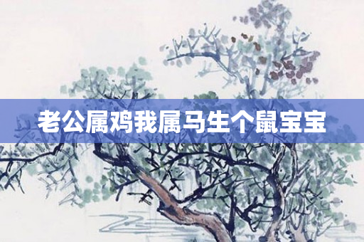 老公属鸡我属马生个鼠宝宝