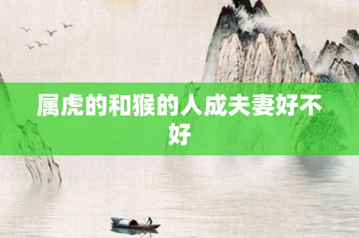 属虎的和猴的人成夫妻好不好