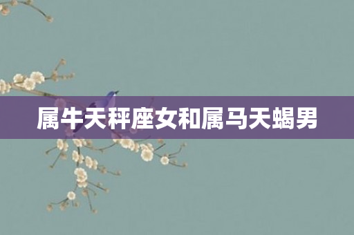属牛天秤座女和属马天蝎男