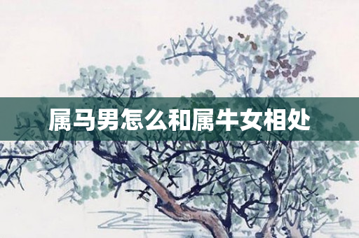 属马男怎么和属牛女相处
