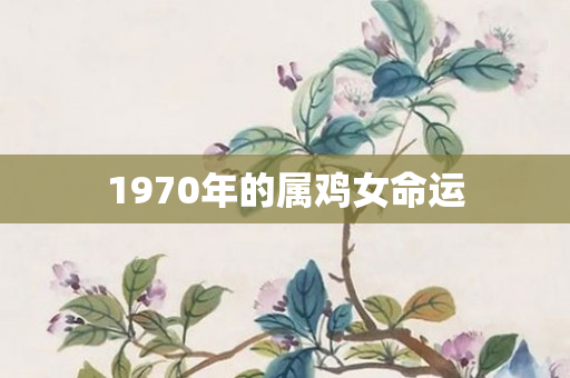 1970年的属鸡女命运
