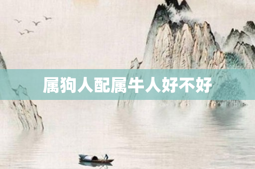 属狗人配属牛人好不好