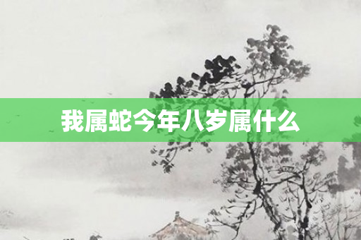 我属蛇今年八岁属什么
