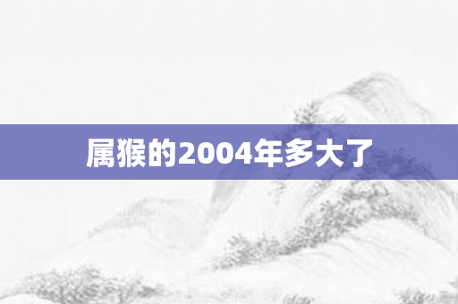 属猴的2004年多大了