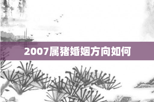 2007属猪婚姻方向如何