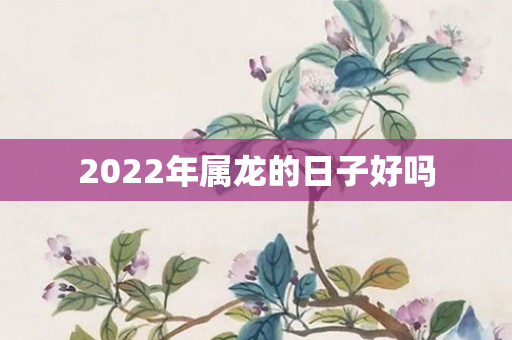 2022年属龙的日子好吗