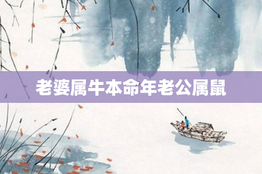 老婆属牛本命年老公属鼠