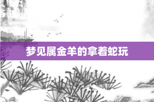 梦见属金羊的拿着蛇玩