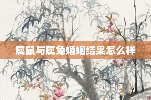 属鼠与属兔婚姻结果怎么样