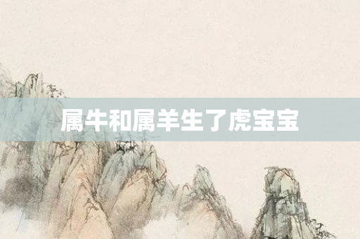 属牛和属羊生了虎宝宝