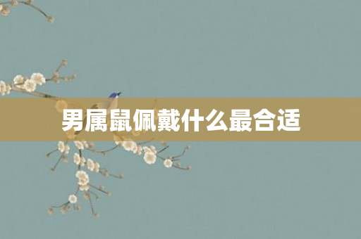 男属鼠佩戴什么最合适