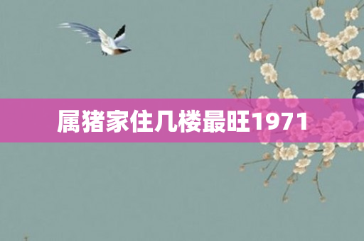 属猪家住几楼最旺1971
