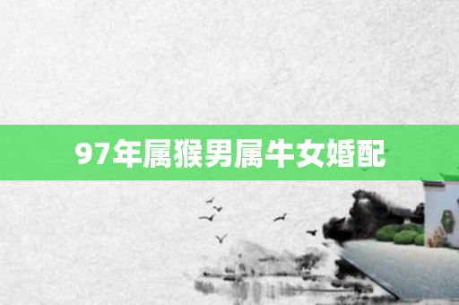 97年属猴男属牛女婚配