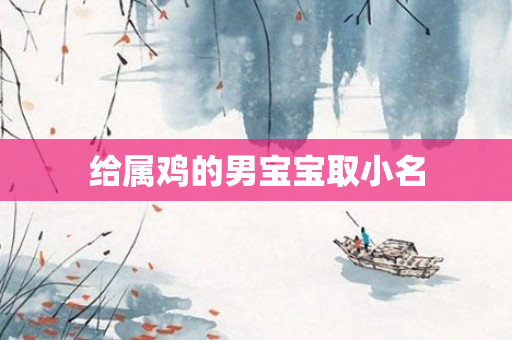 给属鸡的男宝宝取小名