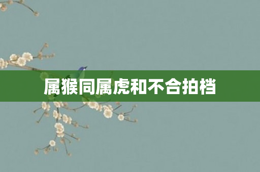 属猴同属虎和不合拍档