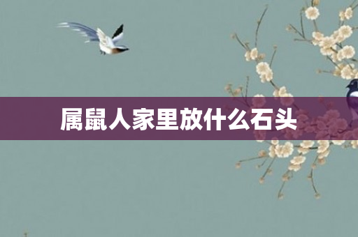 属鼠人家里放什么石头