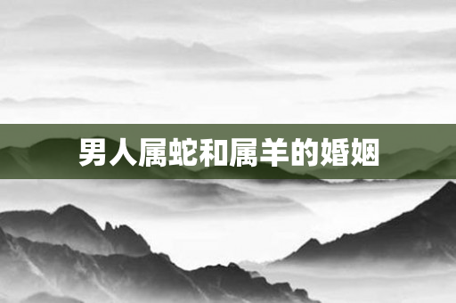 男人属蛇和属羊的婚姻