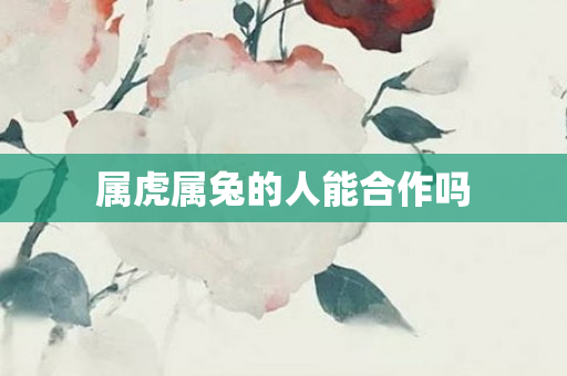 属虎属兔的人能合作吗