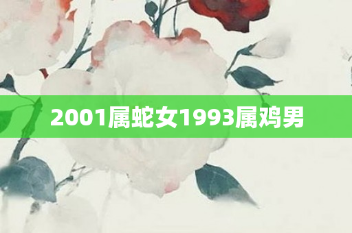 2001属蛇女1993属鸡男