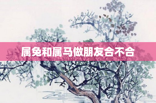 属兔和属马做朋友合不合