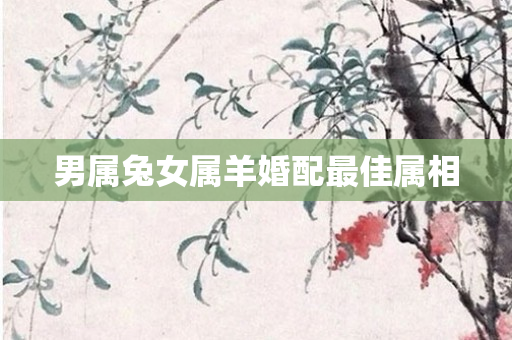 男属兔女属羊婚配更佳属相