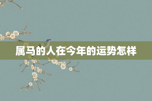 属马的人在今年的运势怎样