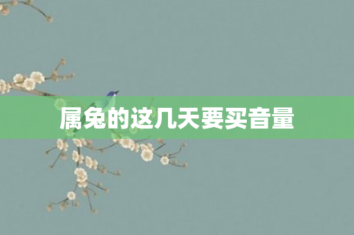 属兔的这几天要买音量