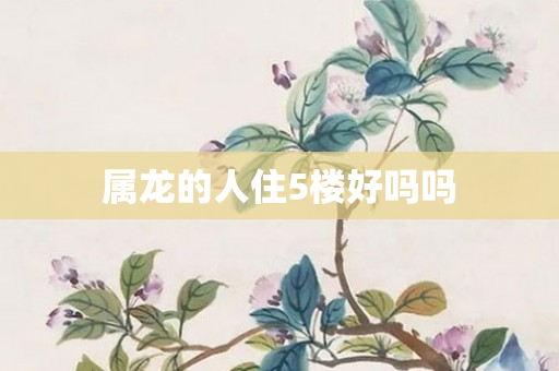 属龙的人住5楼好吗吗