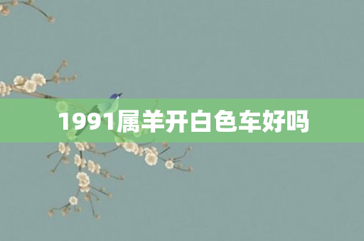 1991属羊开白色车好吗
